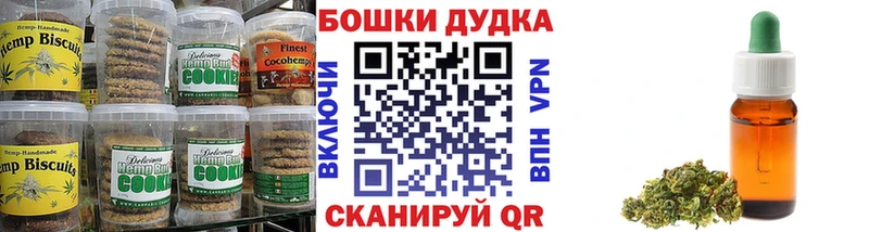 Купить закладки  Краснослободск  Canna-Cookies марихуана 