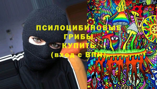 apvp Сатка