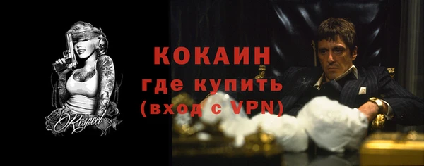 спайс Снежногорск