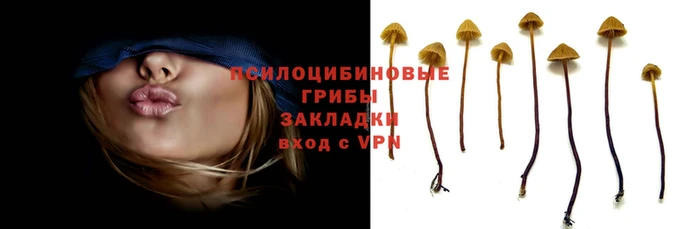 спайс Снежногорск